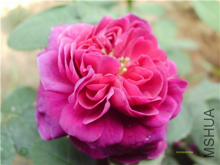 IMAG0252 - ����.jpg