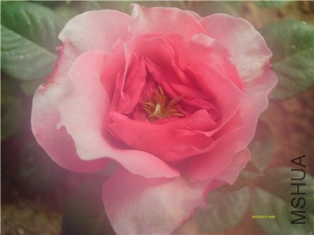 IMAG0310 - ����.jpg