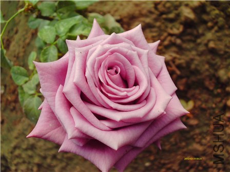 IMAG0040 - ����.jpg