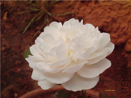 IMAG0160 - ����.jpg