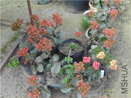 IMAG0026 - ����.jpg