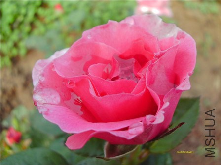 IMAG0355 - ����.jpg