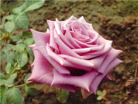 IMAG0039 - ����.jpg