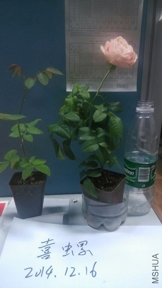 QQͼƬ20141217104608.jpg