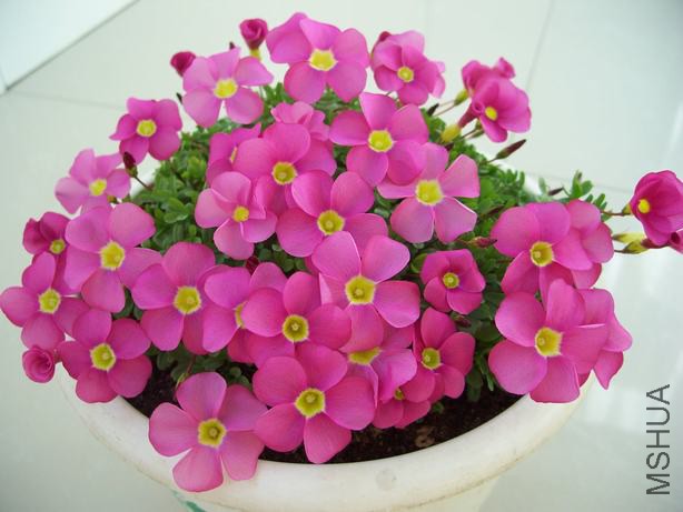 100_5140.JPG