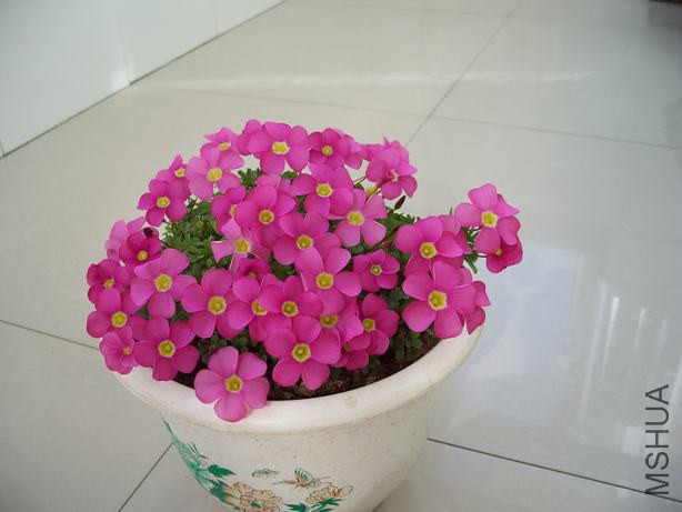 100_5143.JPG