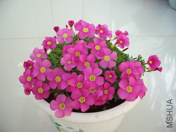 100_5142.JPG