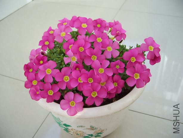 100_5144.JPG