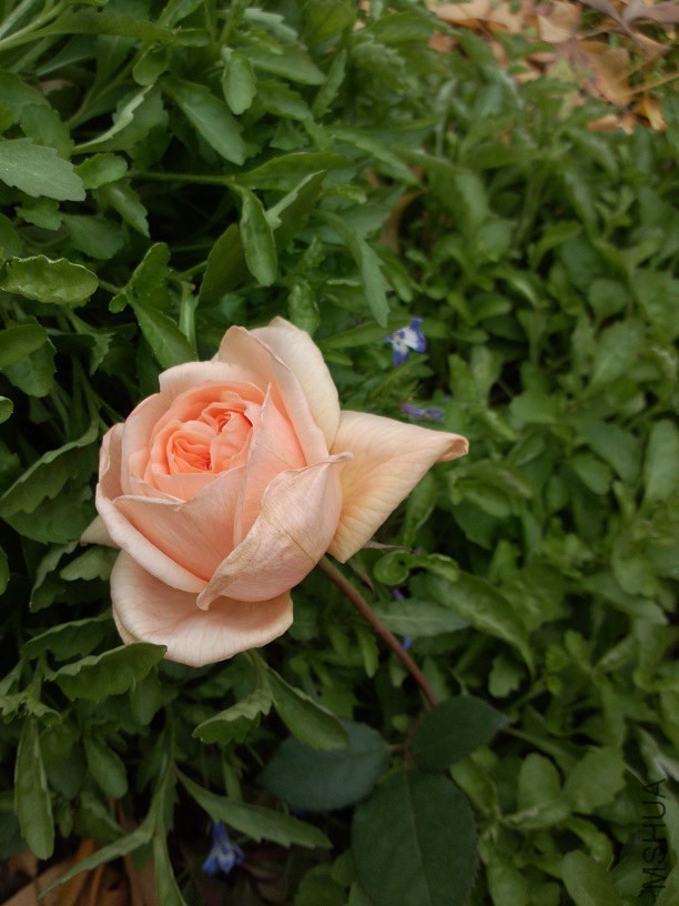 ���궳ʧˮ���Ѿ�����