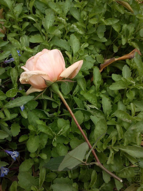 ����������������