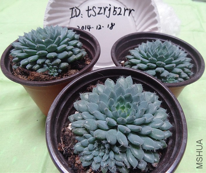 DSC01812_����.jpg