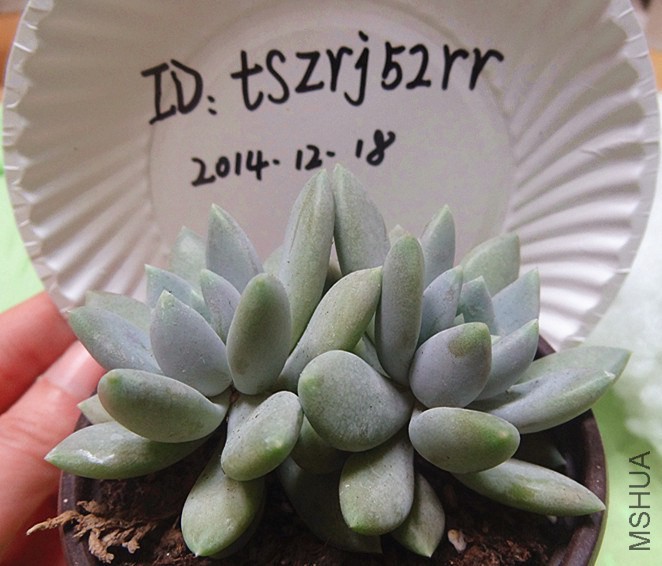 DSC01824_����.jpg