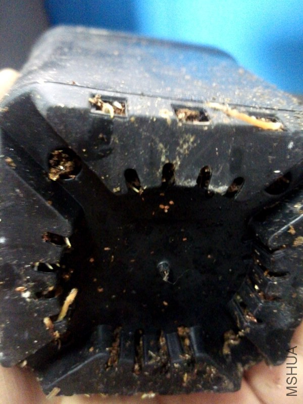 23޹�²ݻ�����ϵ.jpg