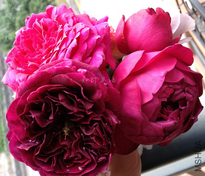 ����1217 13.jpg