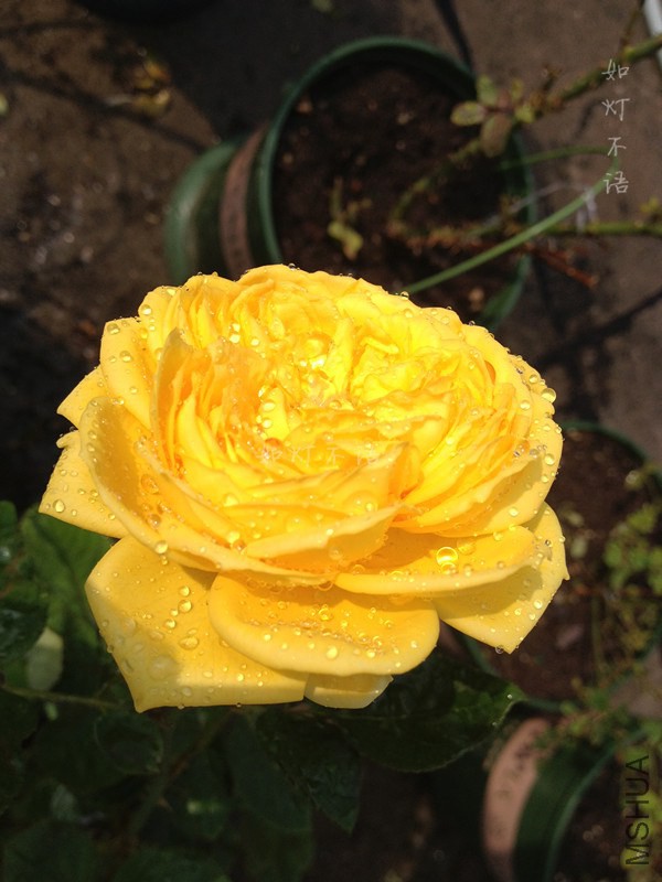 �������� 1.jpg