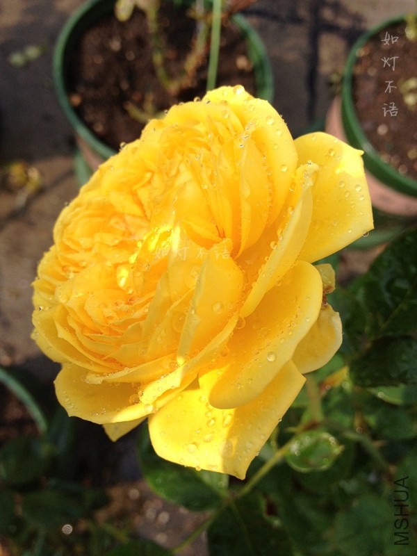 �������� 2.jpg