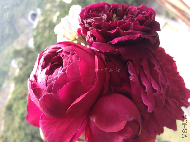 ����1217 12.jpg