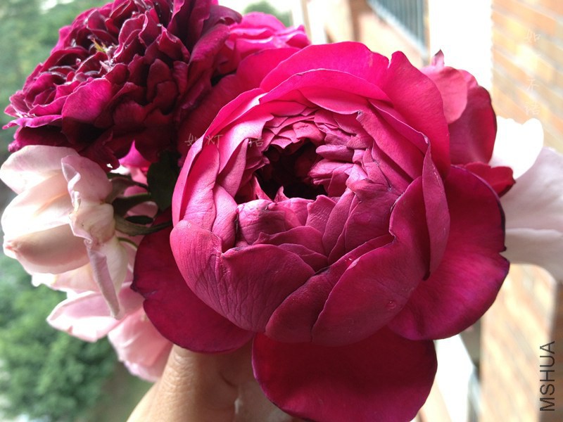 ����1217 15.jpg