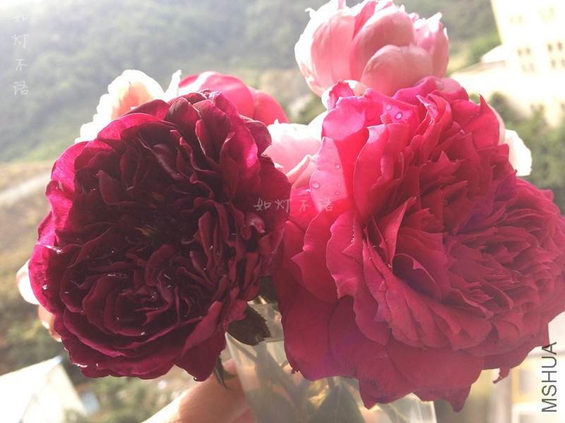 ����1217 18.jpg