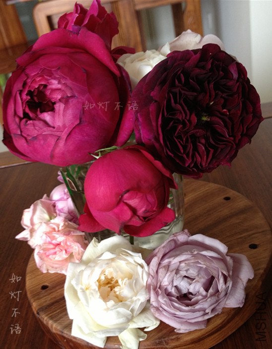 ����1217 4.jpg