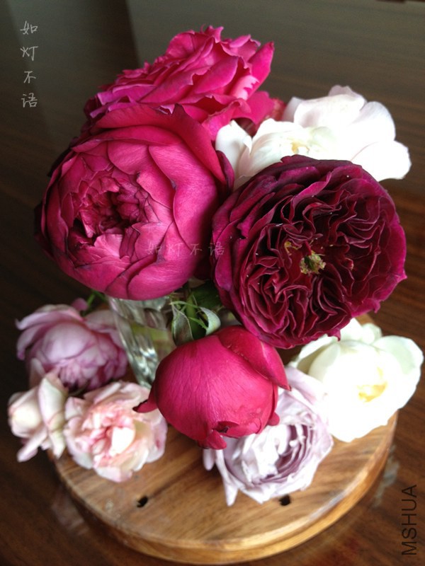 ����1217 7.jpg