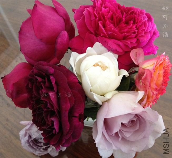 ����1217 8.jpg