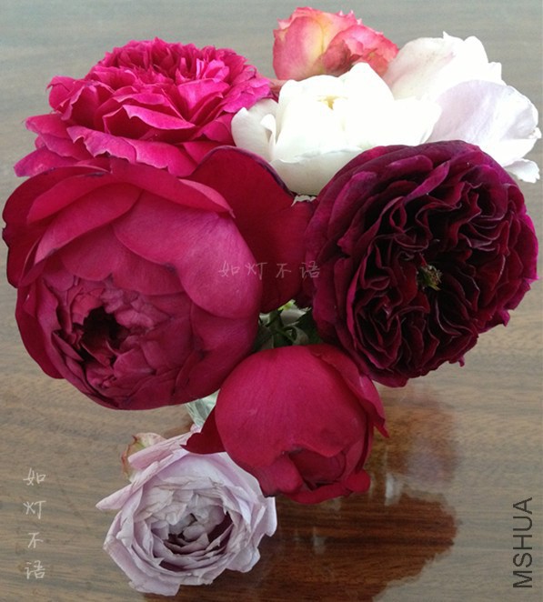 ����1217 9.jpg