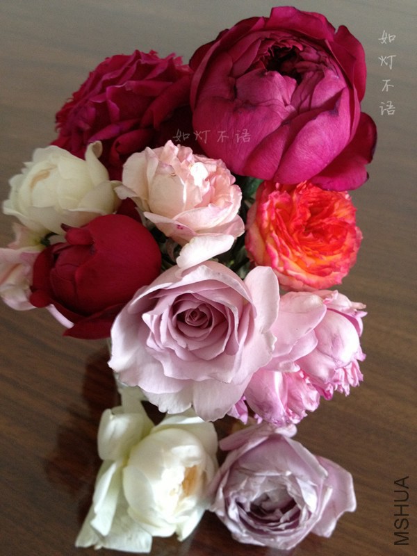 ����1217 11.jpg