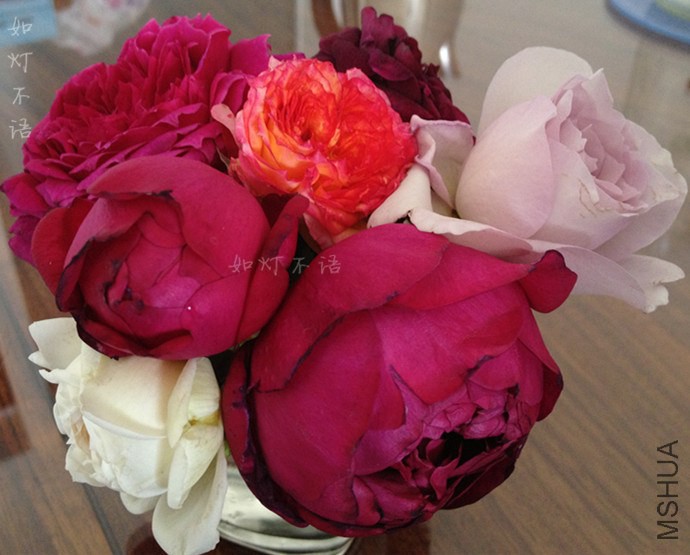 ����1218 2.jpg