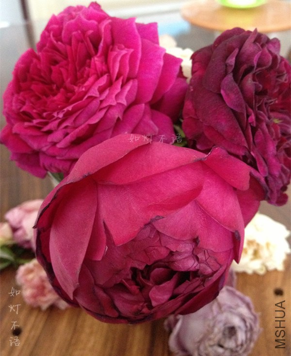 ����1218 3.jpg