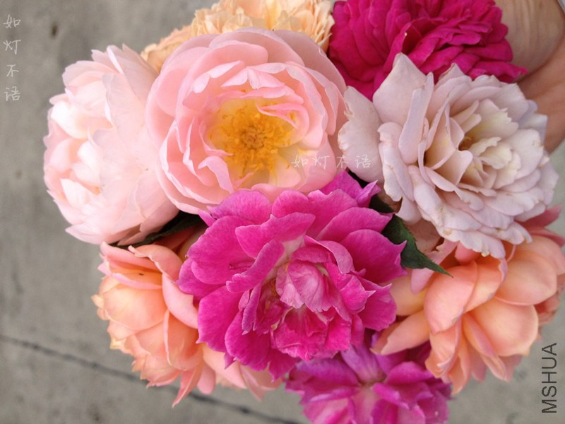 ����3 1 .jpg