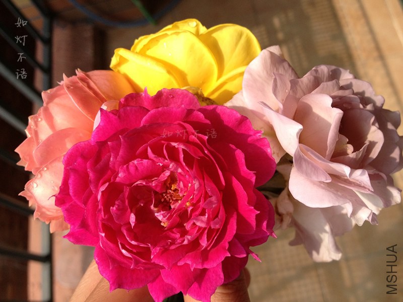 ����1 5 .jpg