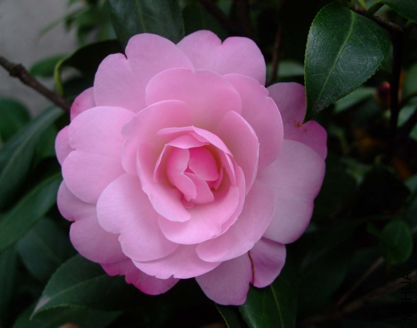 ����ʱ�� 2014-3-31 151.jpg