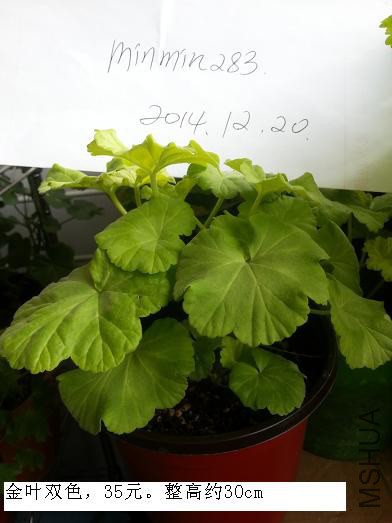 20141220_105047.jpg
