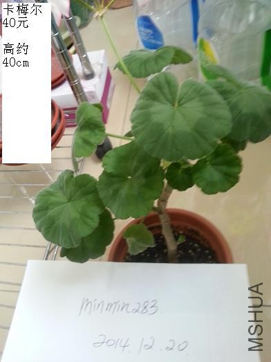 20141220_105227.jpg