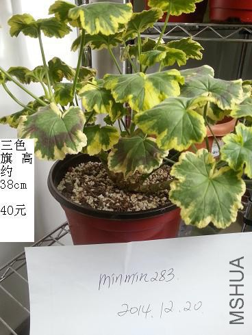 20141220_105443.jpg
