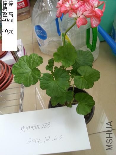 20141220_105301.jpg