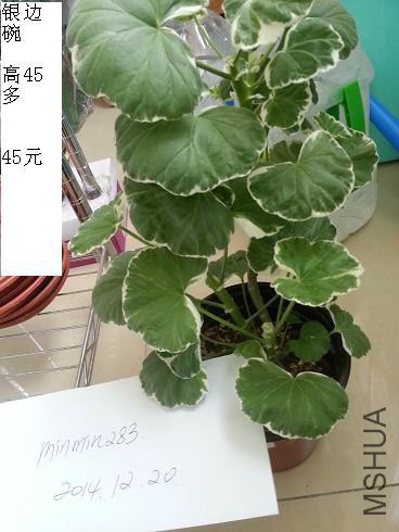 20141220_105344.jpg