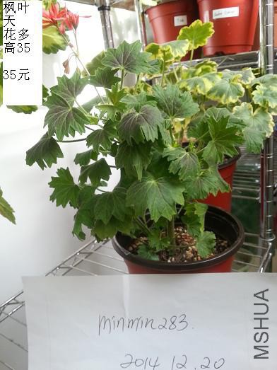 20141220_110259.jpg