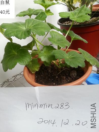 20141220_105632.jpg