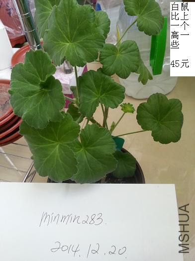 20141220_105744.jpg