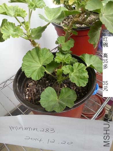 20141220_105839.jpg