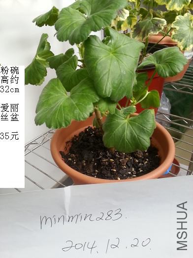 20141220_105530.jpg