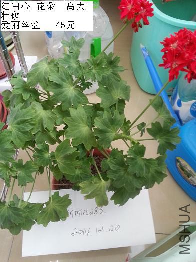 20141220_110042.jpg