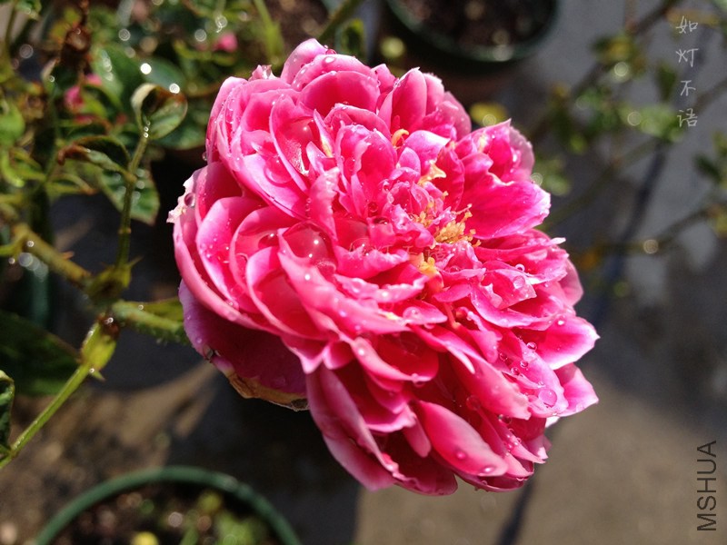 �������� 2.jpg