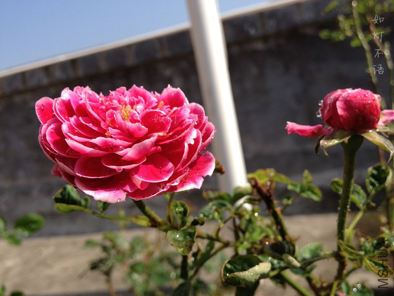 �������� 3.jpg