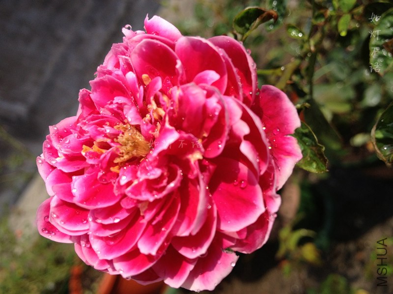 �������� 4.jpg