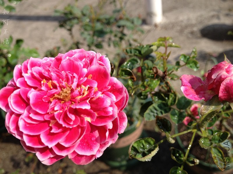 �������� 5.jpg