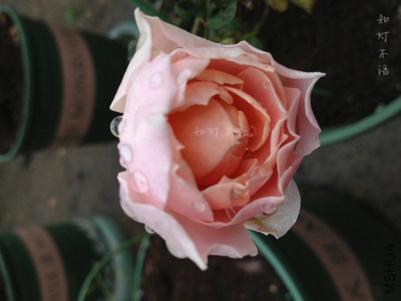 ��ͼ�ȱ� 1.jpg