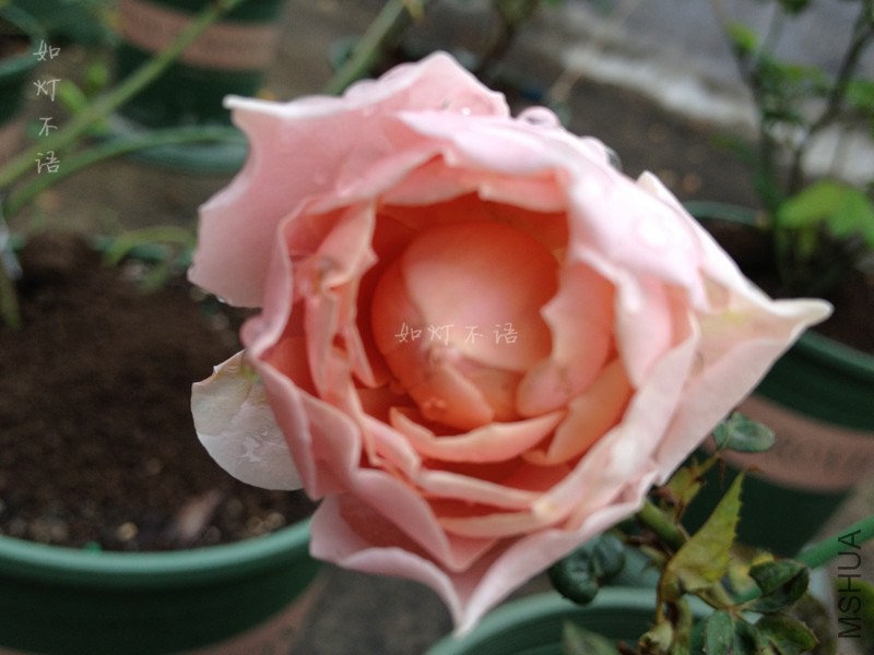 ��ͼ�ȱ� 2.jpg